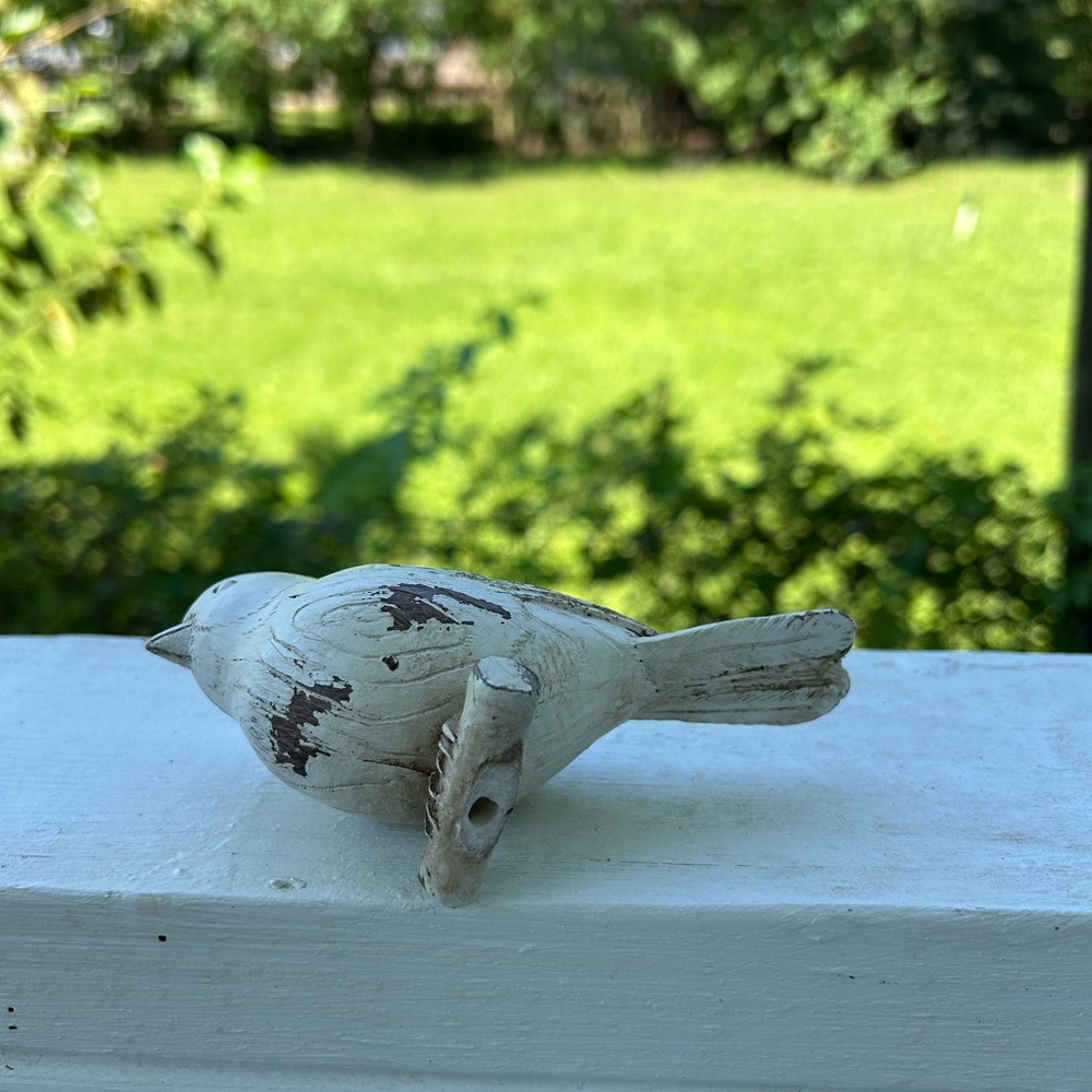 Bird - Picture 4 of 12